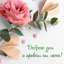 Настя Иванова