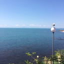 Михаил Лебедев