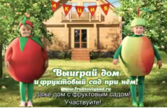Фруктовый сад несёт радость!