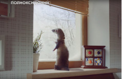 Препарат от простуды и гриппа "Полиоксидоний"