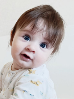 Ростислав Погорелов