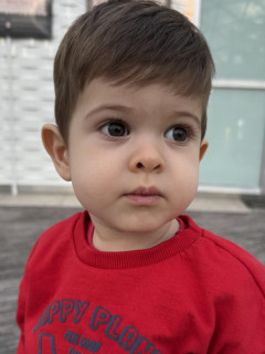 Марк Молчанов