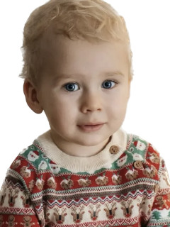 Владимир Мазуров