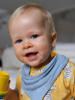 Елисей Гогу